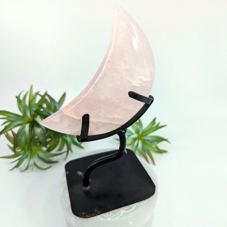 Pink Crescent Moon Crystal on Black Stand for Rose Quartz 6.2 Inch Moon Carving