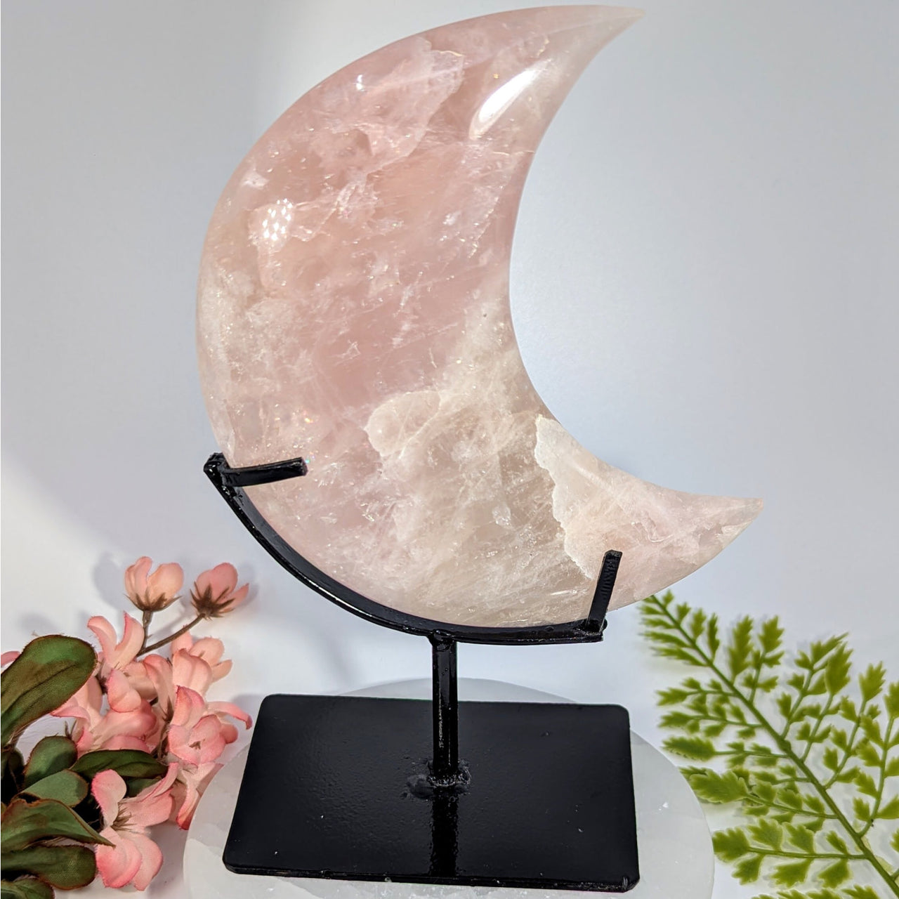 Rose Quartz 7.75’’ Crescent Moon on Black Stand #BC0773