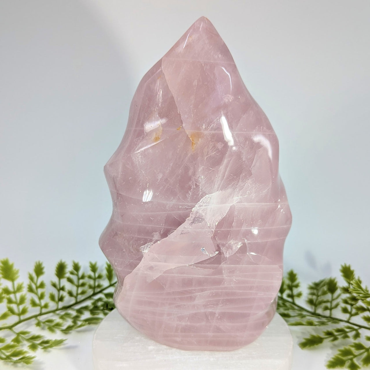 Rose Quartz 7" Flame #BC1509