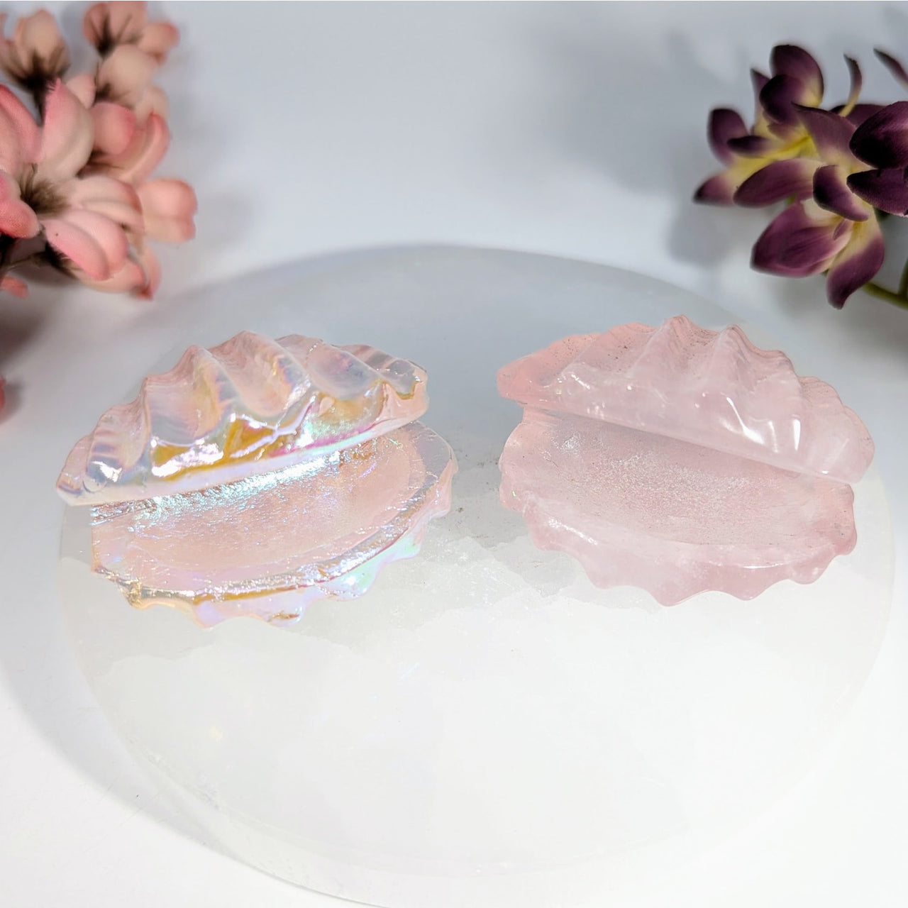 Pink iridescent Rose Quartz clam shell resin trinket box, 2.1in glossy carving