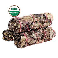 Thumbnail for USDA organic Sage bundle, featuring Bundled Blue Sage smudge sticks with red and white string