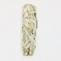 Thumbnail for Bundled white sage smudge stick for Sage & Herb Cleansing Bundle, perfect blue sage bundle