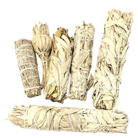 Thumbnail for Bundled white sage smudge sticks in Sage & Herb Cleansing Bundle variety K120