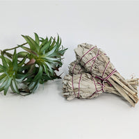 Sage & Herb Cleansing Smudge Stick Bundles #K120