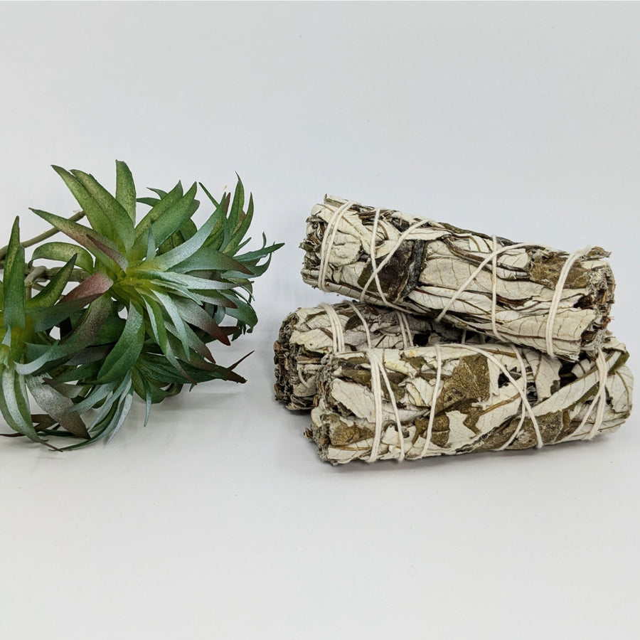 Sage & Herb Cleansing Smudge Stick Bundles #K120