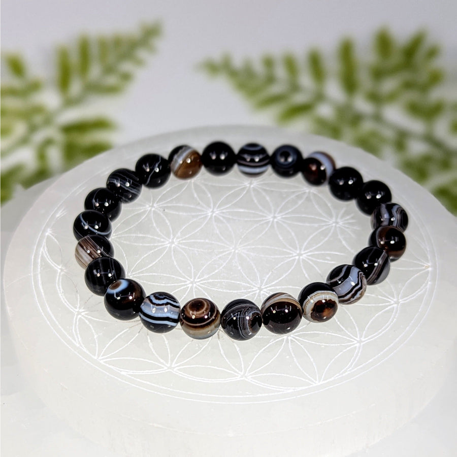 Polished sardonyx 7-inch 8mm bead bracelet BC0936 with black agate swirls