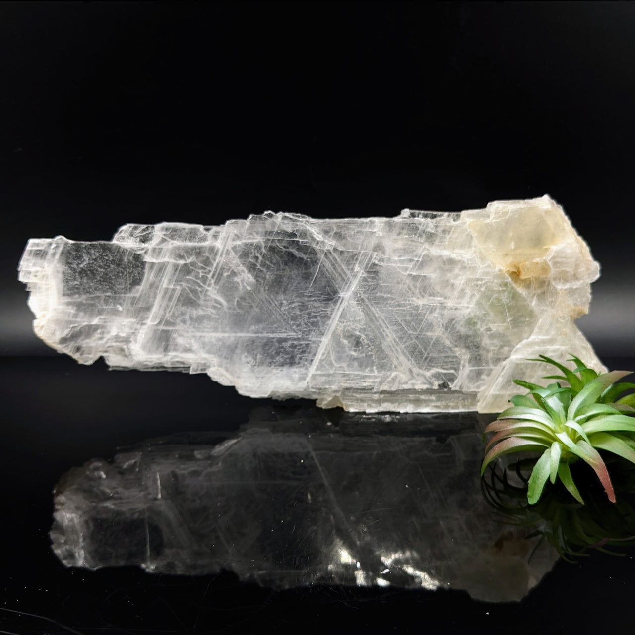 Selenite 12’’ Glass Specimen #LV6814 - $78