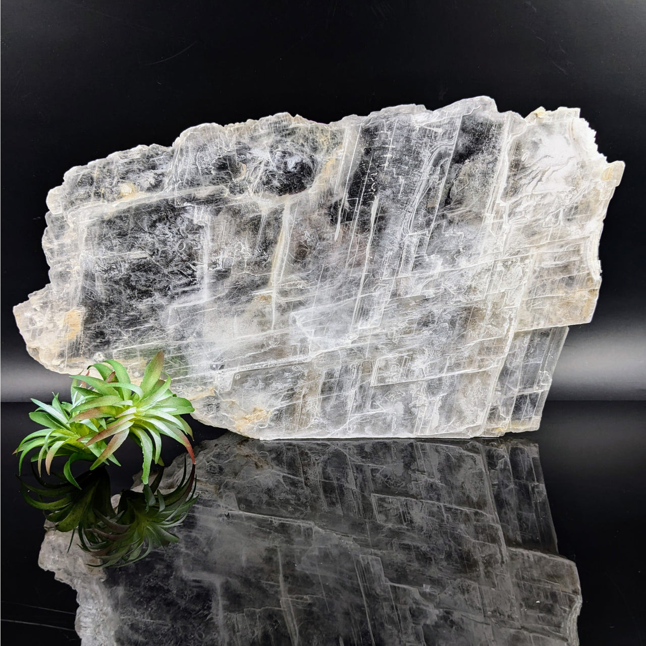 Raw Selenite crystal with fibrous texture in Selenite 13’’ Glass Specimen #LV6819