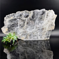 Thumbnail for Raw Selenite crystal with fibrous texture in Selenite 13’’ Glass Specimen #LV6819