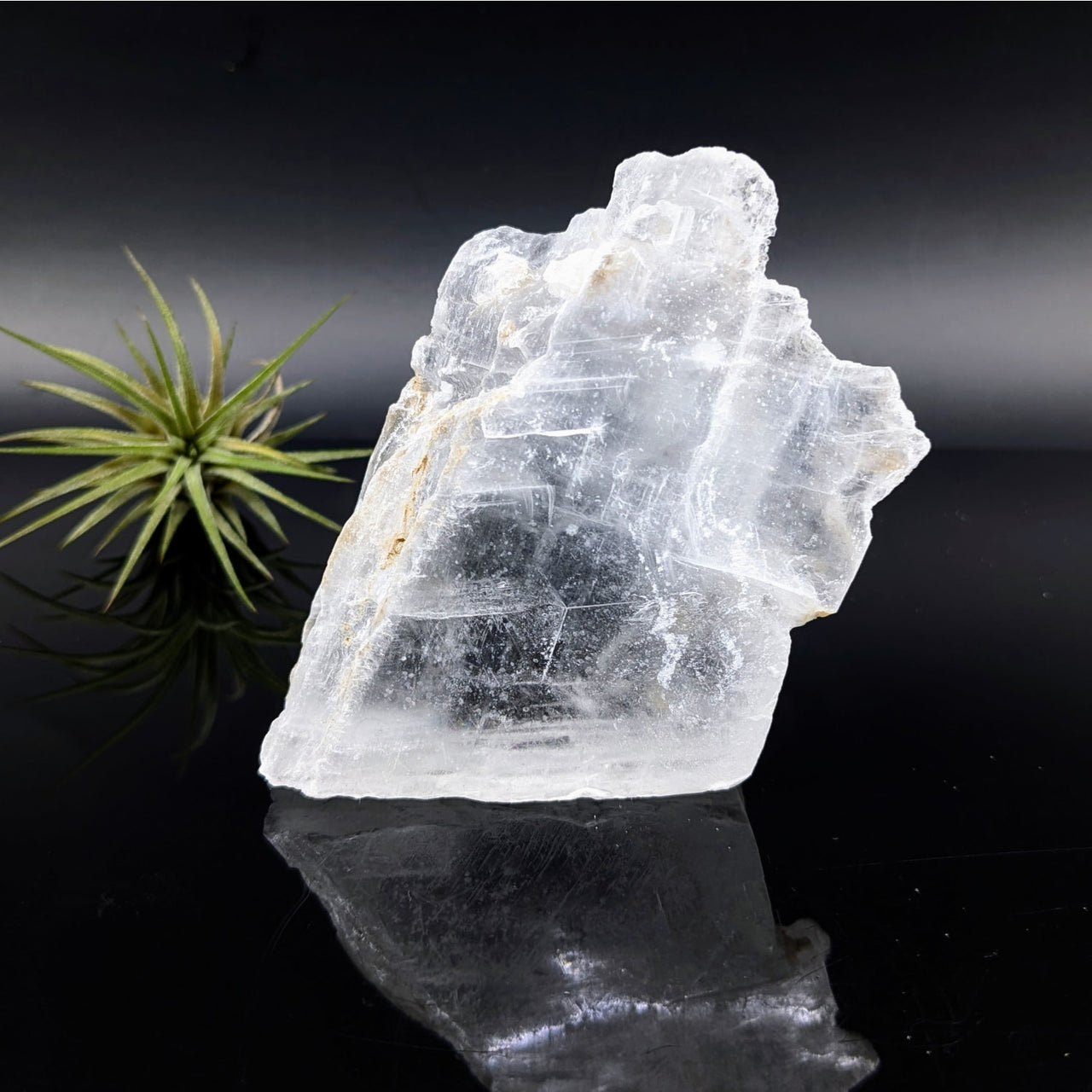 Selenite 3’’ Glass Specimen #LV6816 - $18