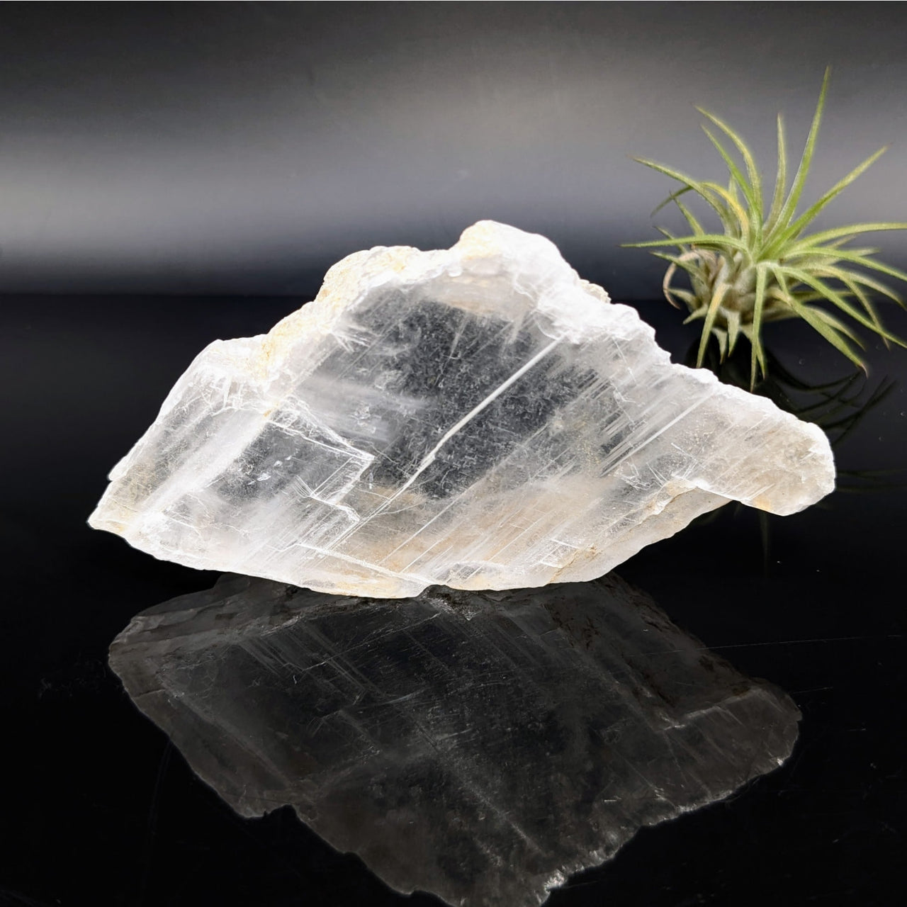 Selenite 4.1’’ Glass Specimen #LV6813 - $18