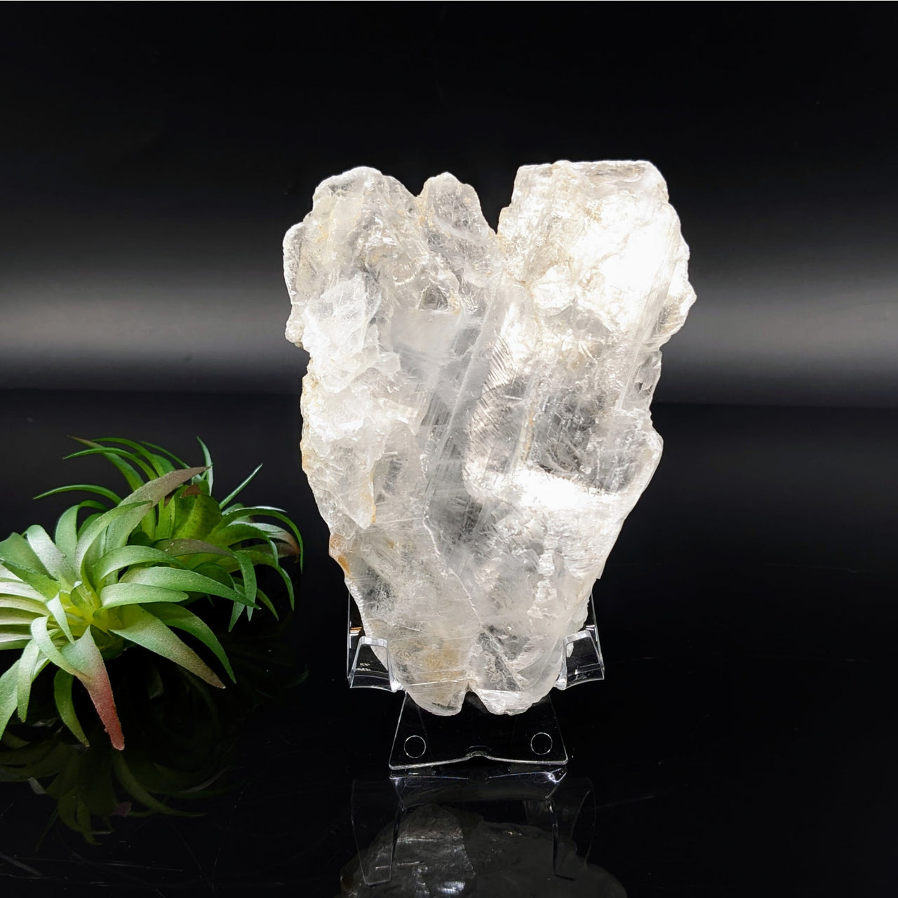 Selenite 4.6’’ Glass Specimen #LV6810 - $25