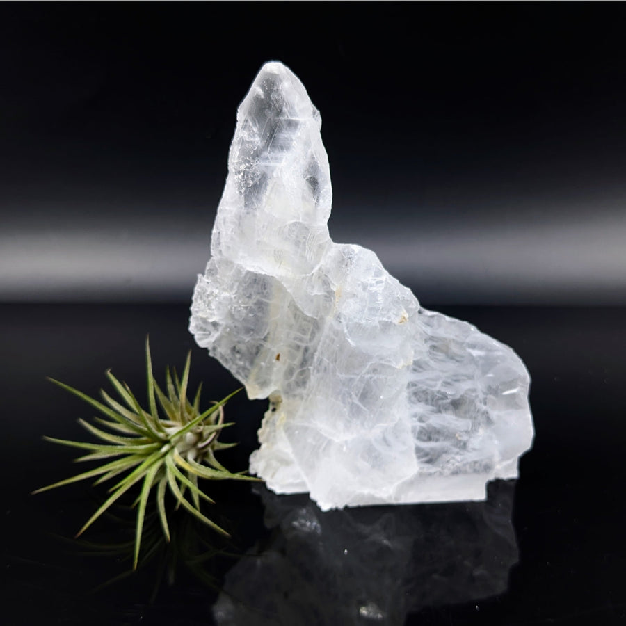Selenite 5’’ Glass Specimen #LV6817 - $25