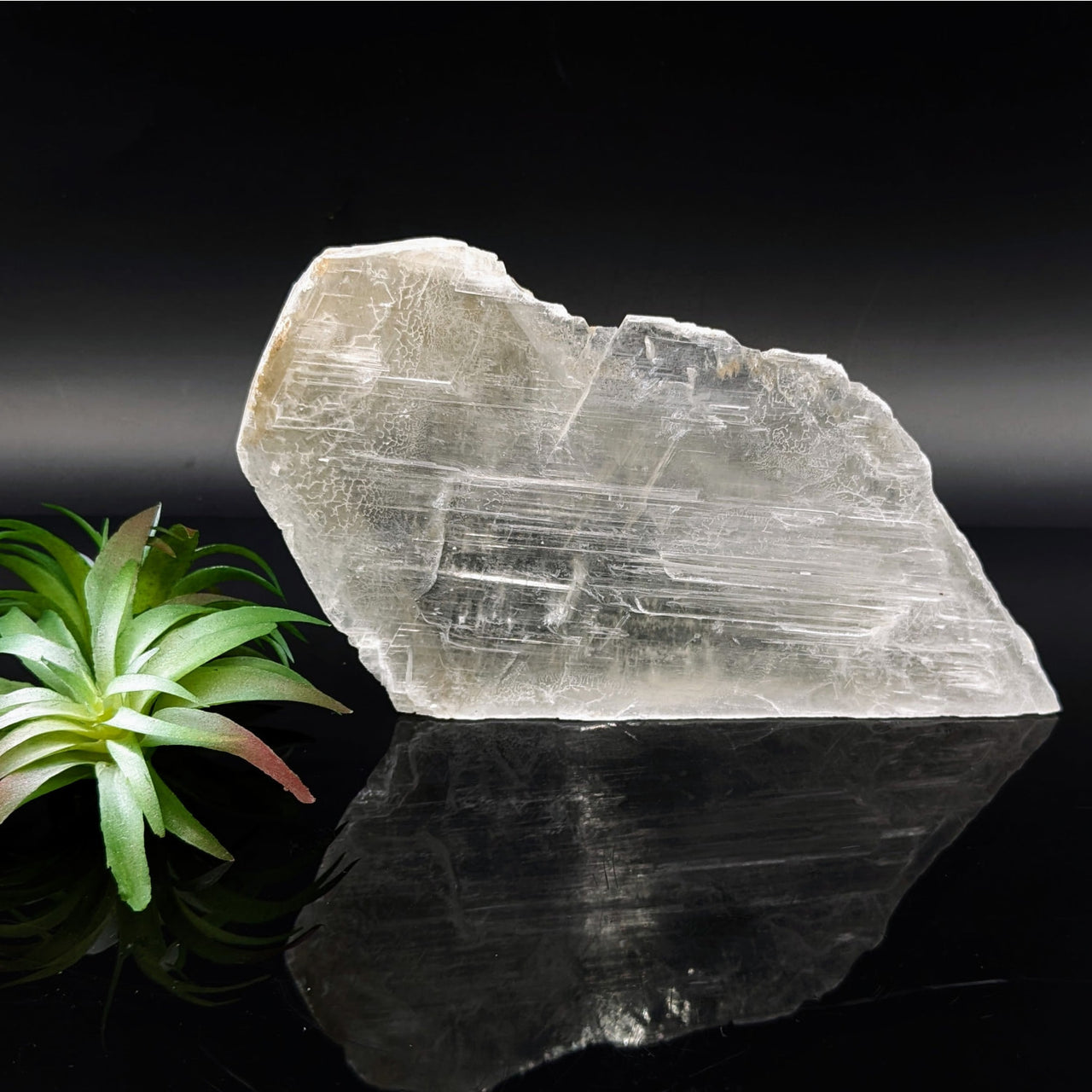 Selenite 6’’ Glass Specimen #LV6811 - $42