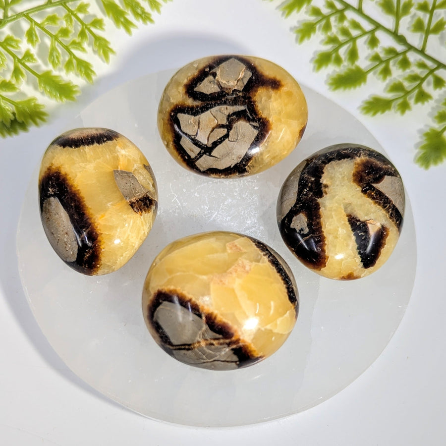 Four polished oval septarian agate pebbles 1.6-2in #BC1045 with black golden veining