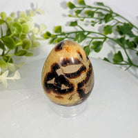 Septarian 2.1 inch egg polished agate stone with swirling dark brown and amber patterns #BC1362