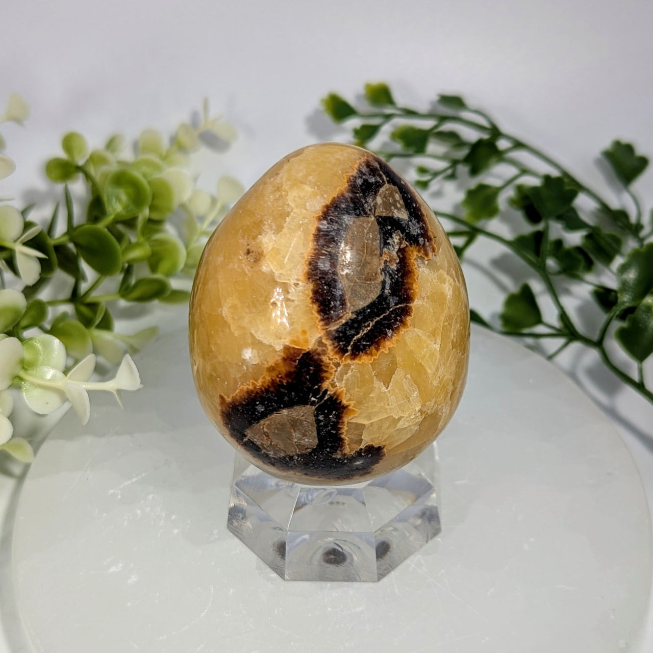 Septarian 2.5 inch egg polished specimen with golden yellow and dark brown agate featuring natural crystalline texture