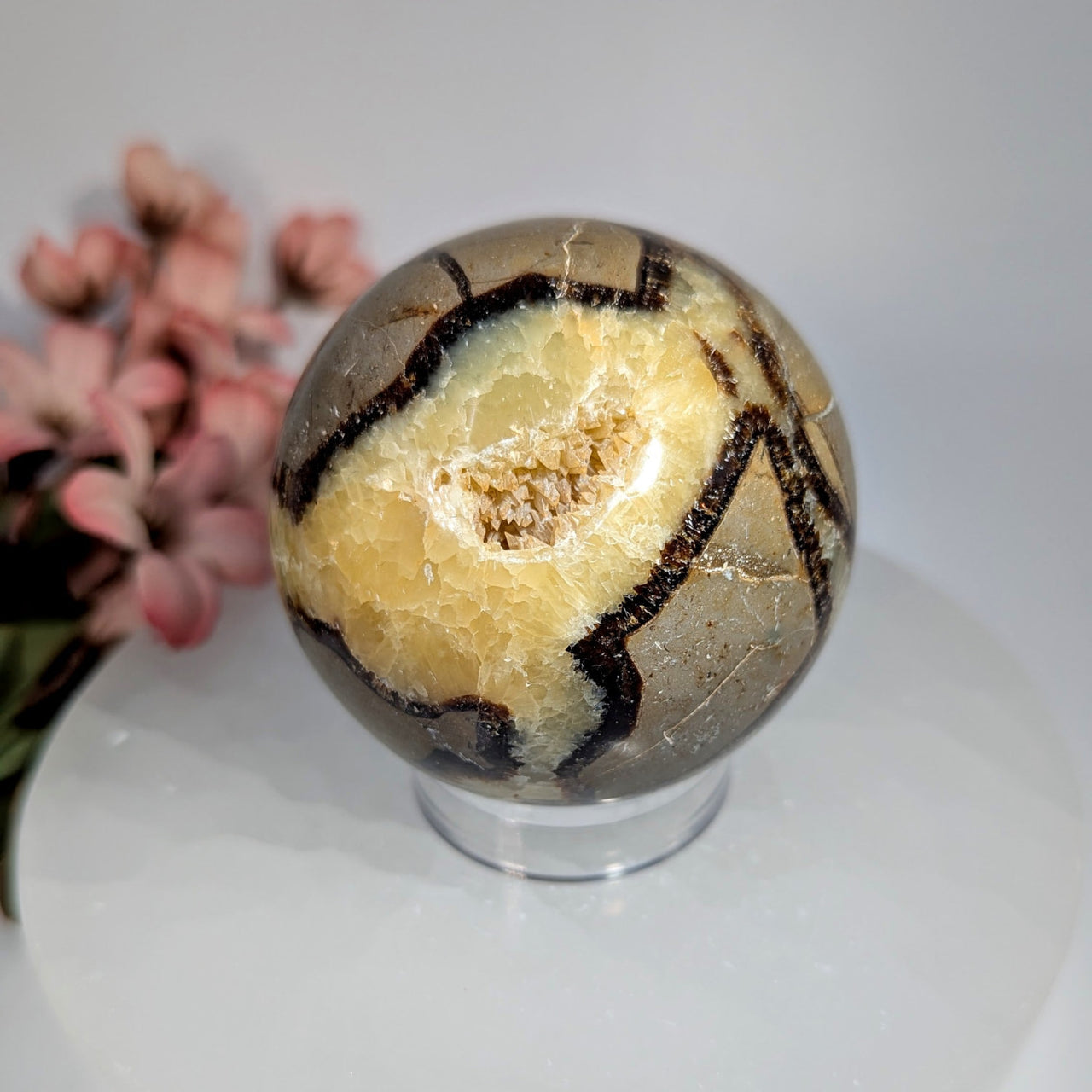 Polished 2.5-inch septarian sphere with brown and beige patterns, #BC0658