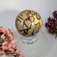 Septarian 2.8’’ golden-brown fossilized turtle shell sphere on crystal stand