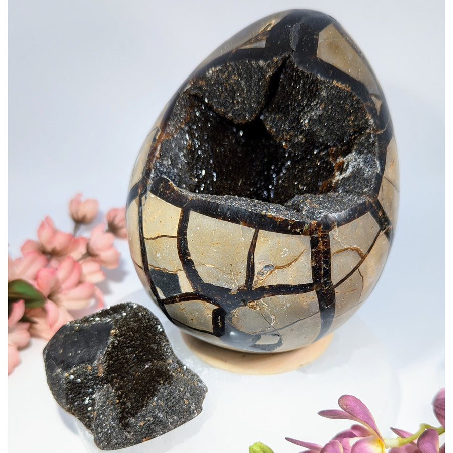 Polished 4.6’’ Septarian Dragon Egg Geode with Door #BC0359