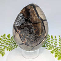 Polished 4.7’’ septarian dragon egg fossil #BC1239 with silver gloss and gold patterns