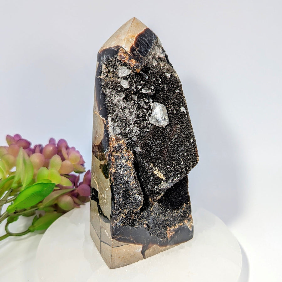 Striking black and gold Septarian 5.5’’ geode tower with clear crystals