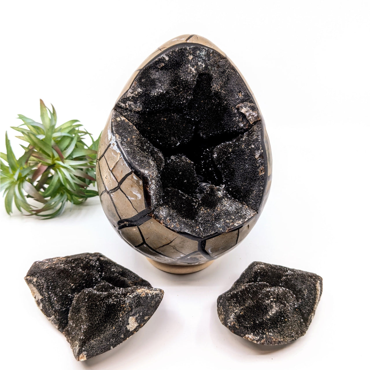 Septarian 6.3’’ Dragon Egg #LV6699 - $380