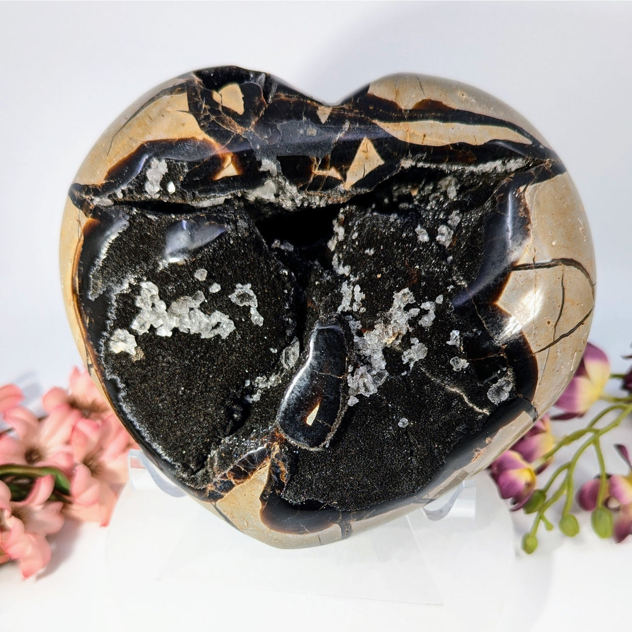 Polished septarian druzy heart agate specimen with swirling black tan white patterns