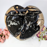 Polished septarian druzy heart agate specimen with swirling black tan white patterns