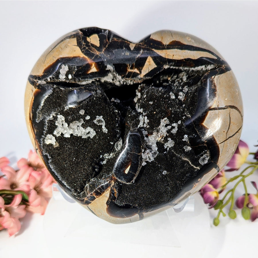 Polished septarian druzy heart agate specimen with swirling black tan white patterns