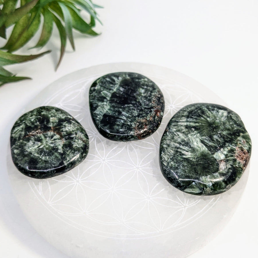 Polished green seraphinite stones showcasing bliss crystals inspired by biblical seraphs and seraphim angels