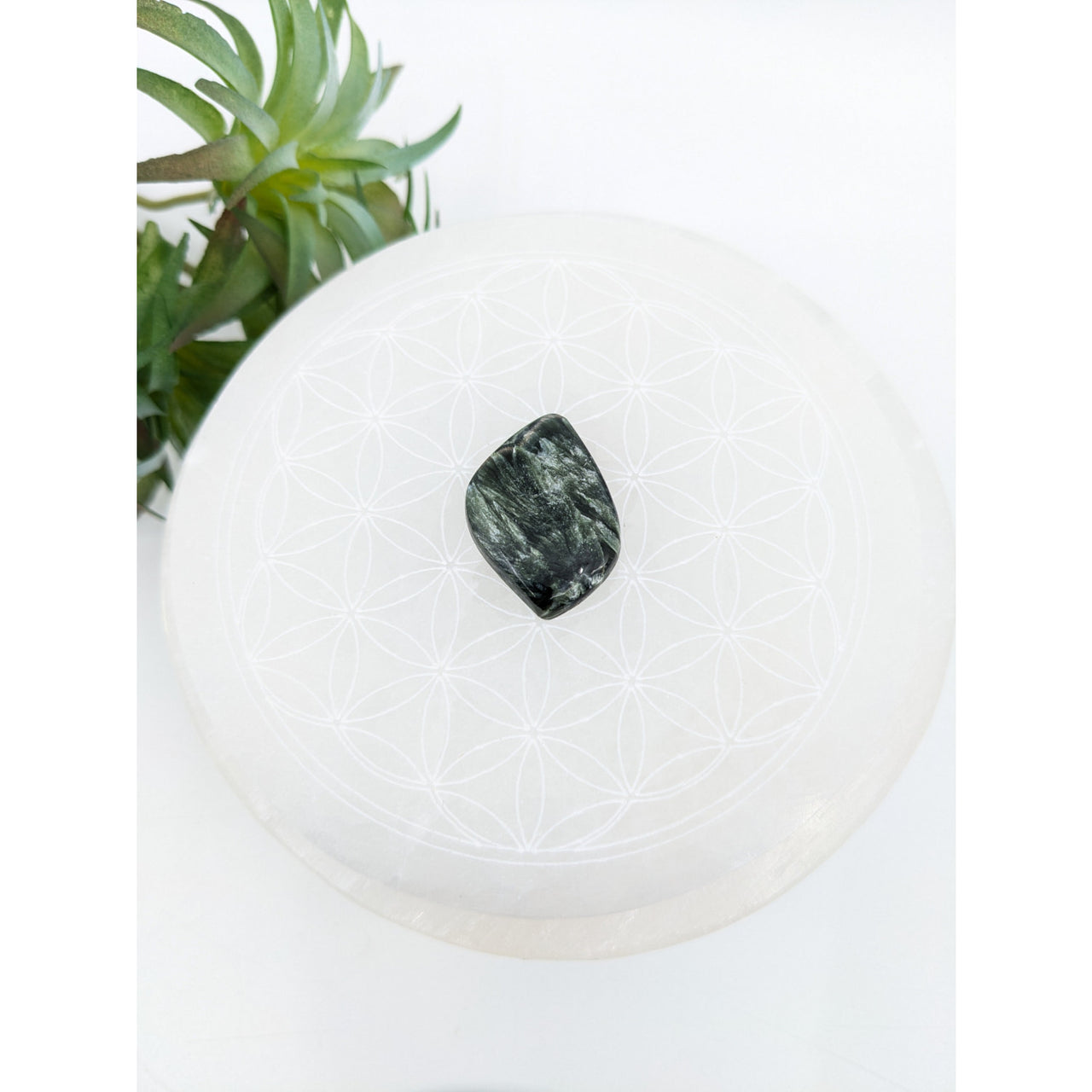 Dark green Seraphinite 2” cabochon resting on a white surface, showcasing its natural beauty