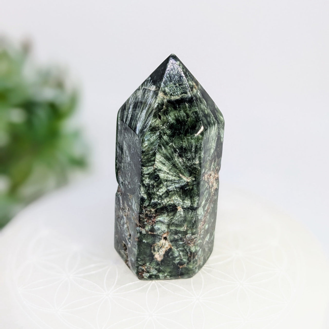 Polished green and black crystal point for Seraphinite 2.5 inch Generator #LV7605