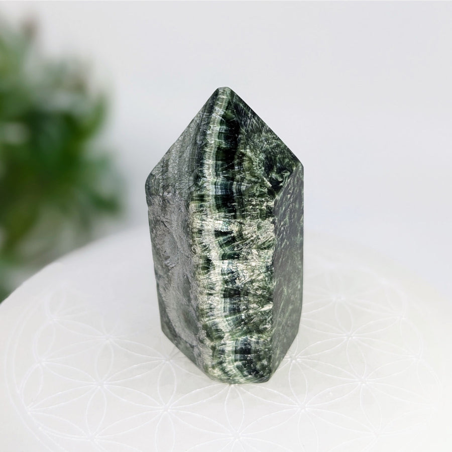 Polished green and white striped crystal point from Seraphinite 2 Inch Generator LV7610