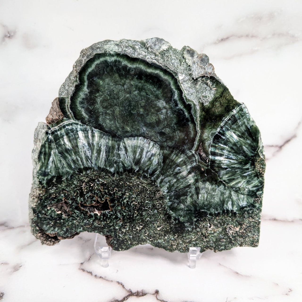 Green quartzite slab SK9810 with white and black vein, flat shape for sale