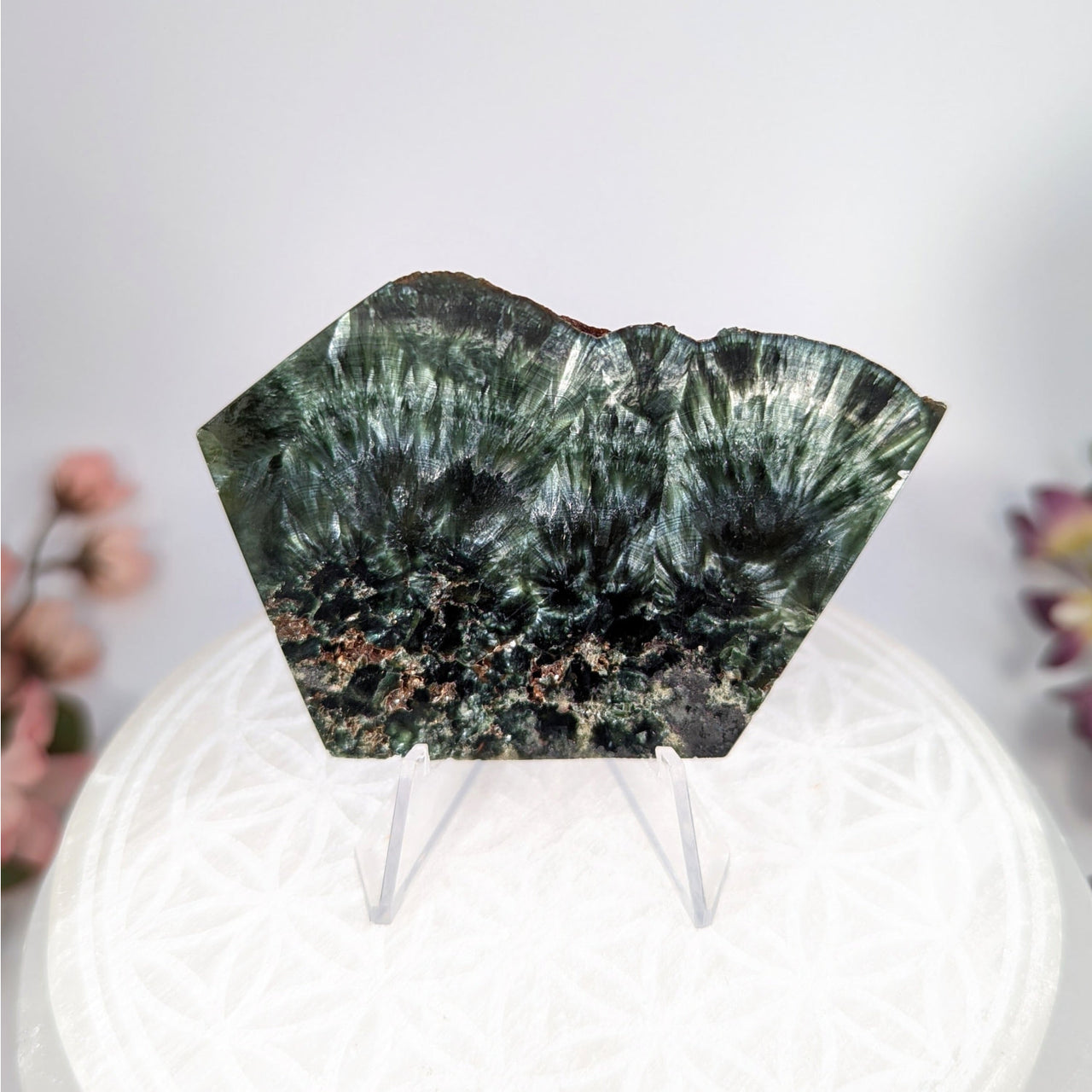 Green and white mineral specimen slab from Seraphinite 3 inch Thin Slab #LV8753