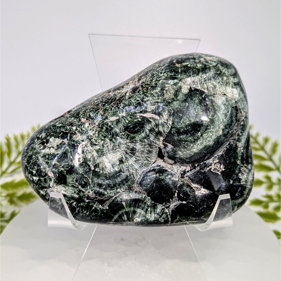 Polished seraphinite AA 3.5 inch pebble specimen #BC0905 with fan patterns