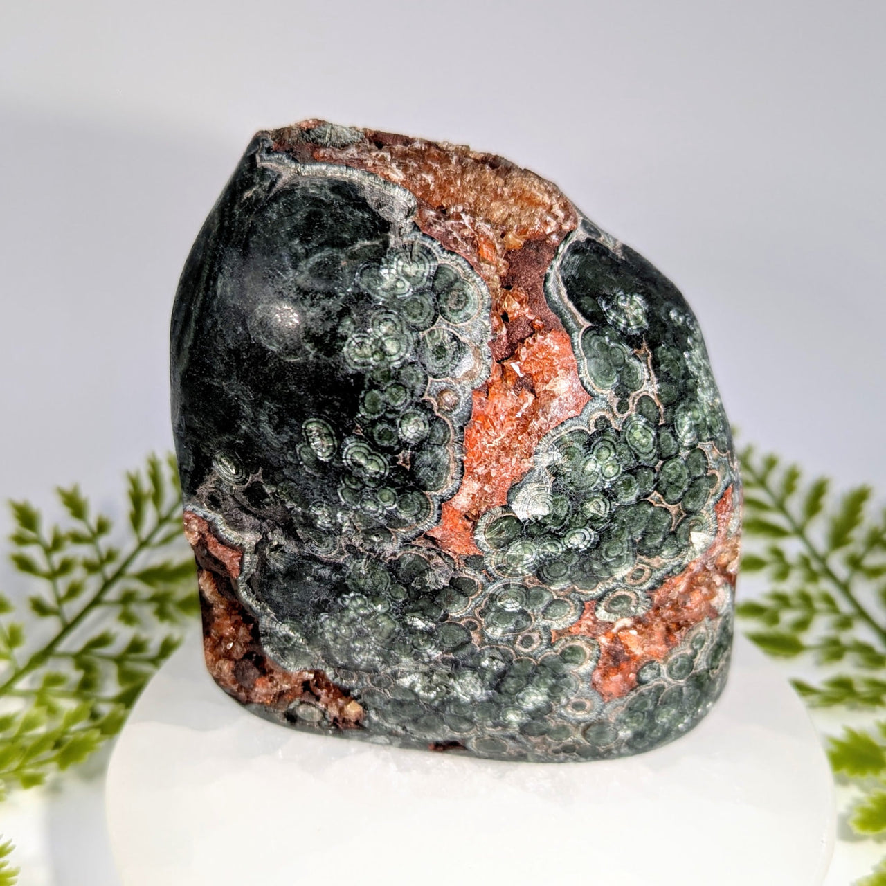 Seraphinite AA 4.2’’ jasper with fluorescent calcite, green-black-orange circles #BC0904