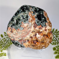 Seraphinite AA 4.5’’ with fluorescent calcite #BC0900, polished swirling black green patterns