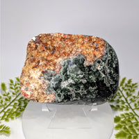 Polished Seraphinite AA 4.5’’ with fluorescent calcite #BC0902, green orange-brown crystalline specimen