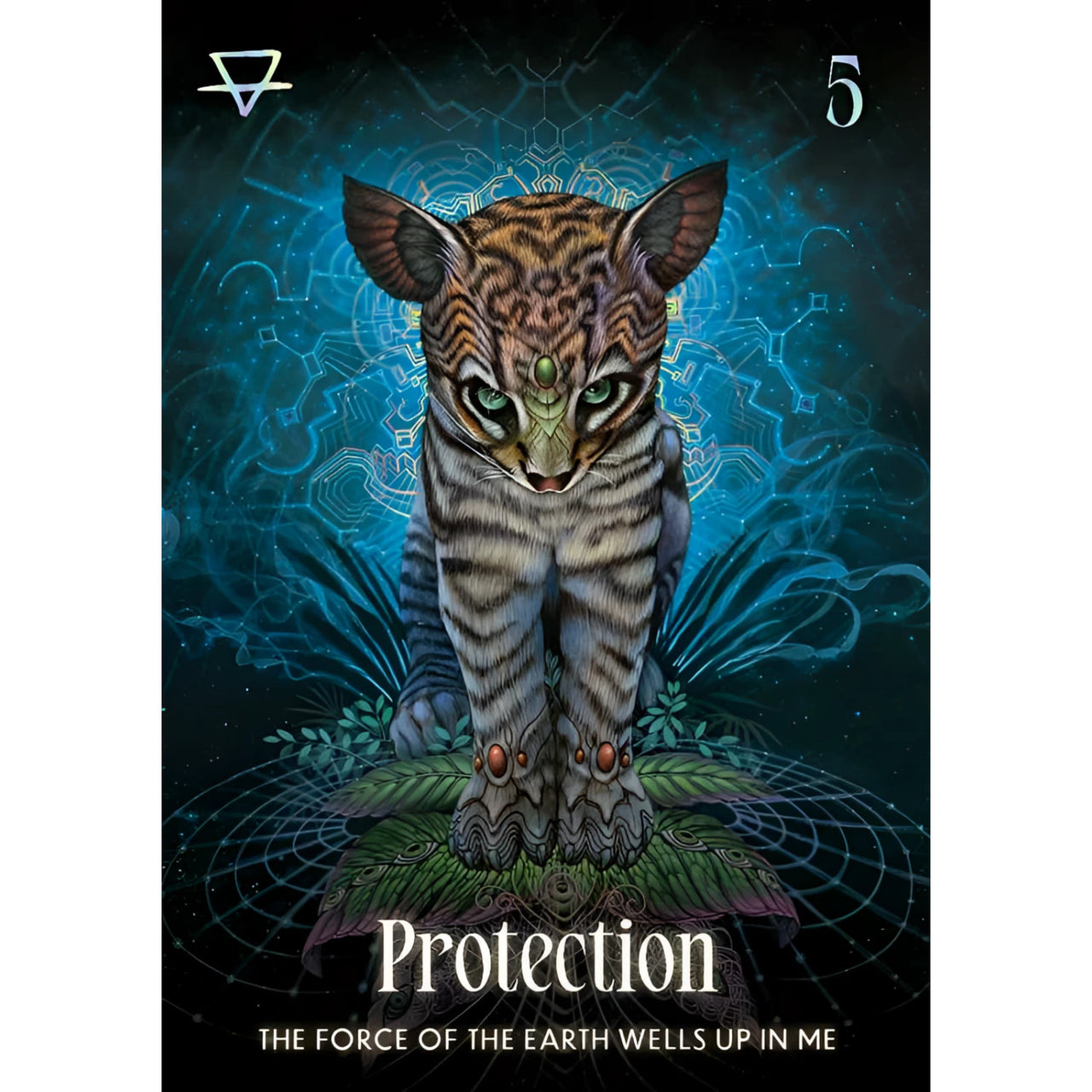 Shamanic Oracle Deck #BC0521