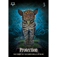 Shamanic Oracle Deck #BC0521