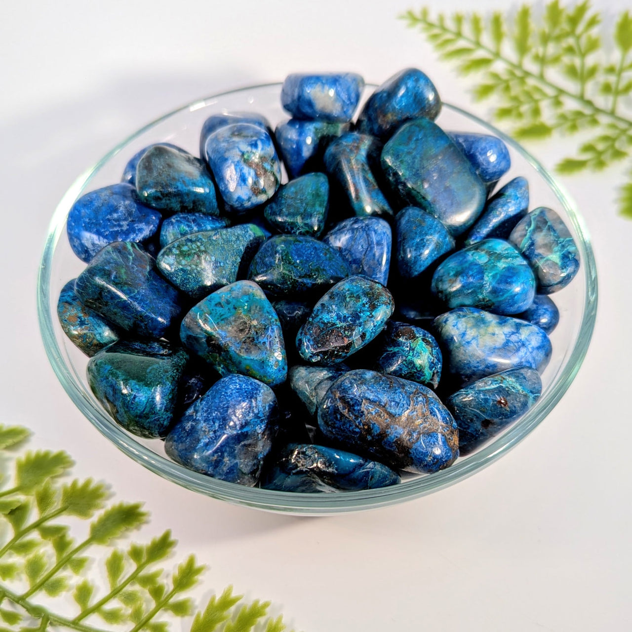 Polished blue sodalite tumbled stones in glass bowl, like Shattuckite in Quartz #BC1108