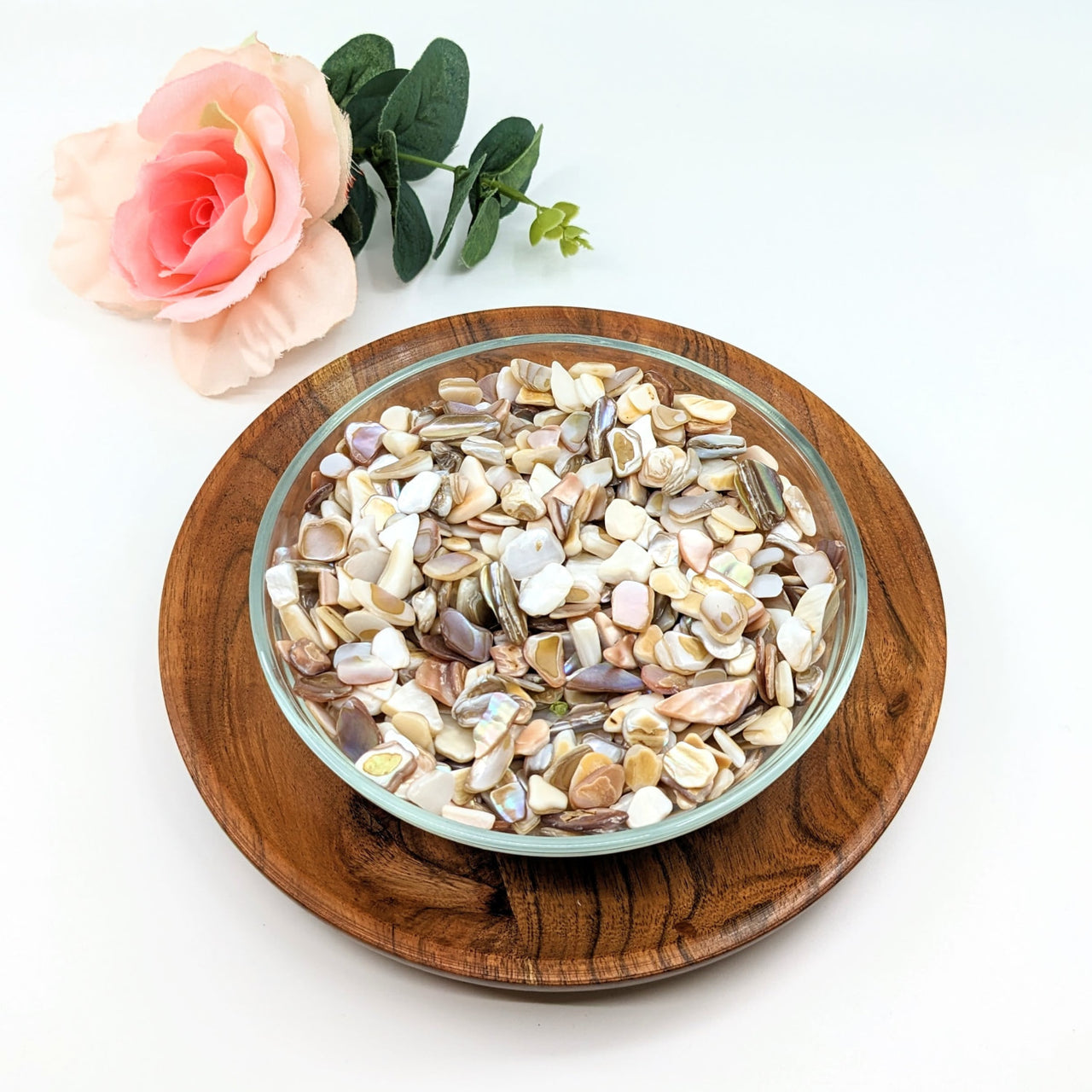 A bowl of shells and a rose on a white background showcasing Shell Mini Chips and Pieces #LV3080