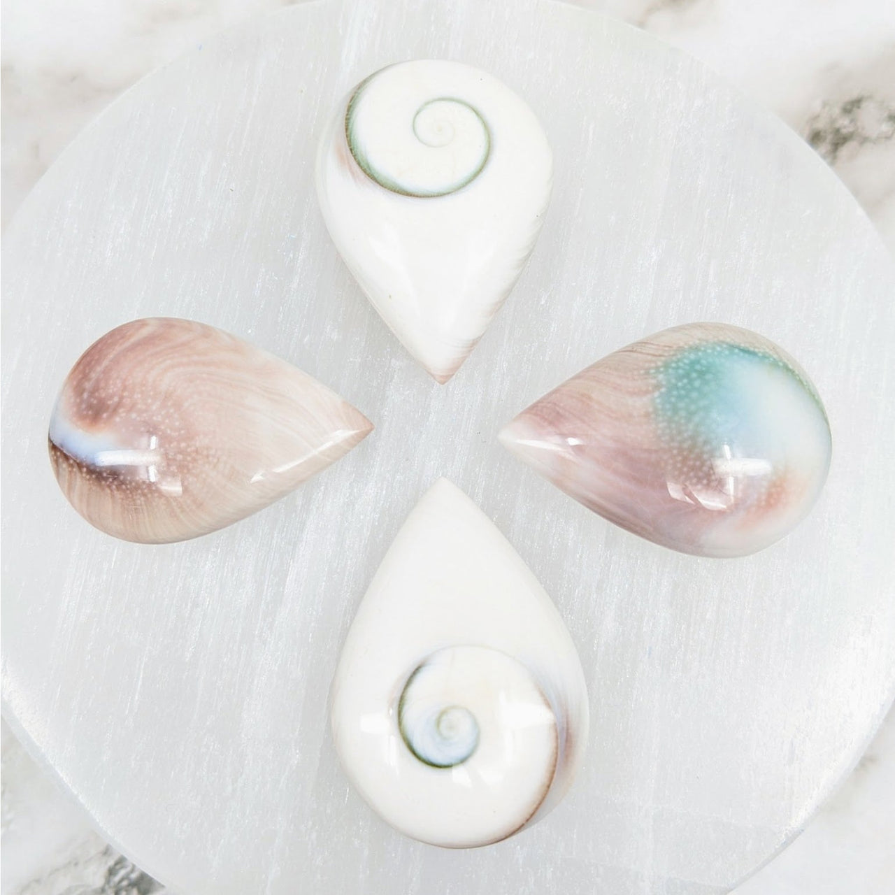 Three Shiva eye shells on a white plate - Teardrop natural decor #LV4617