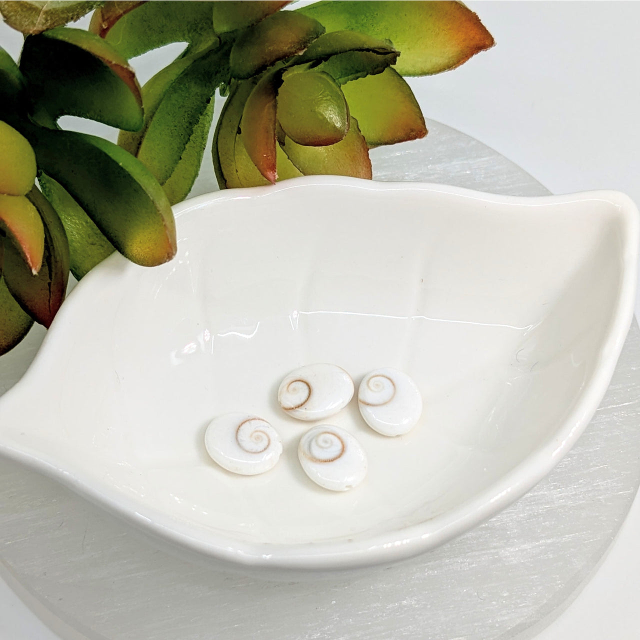 White ceramic bowl with spiral design and Shiva Eye Shell 12mm oval beads pack