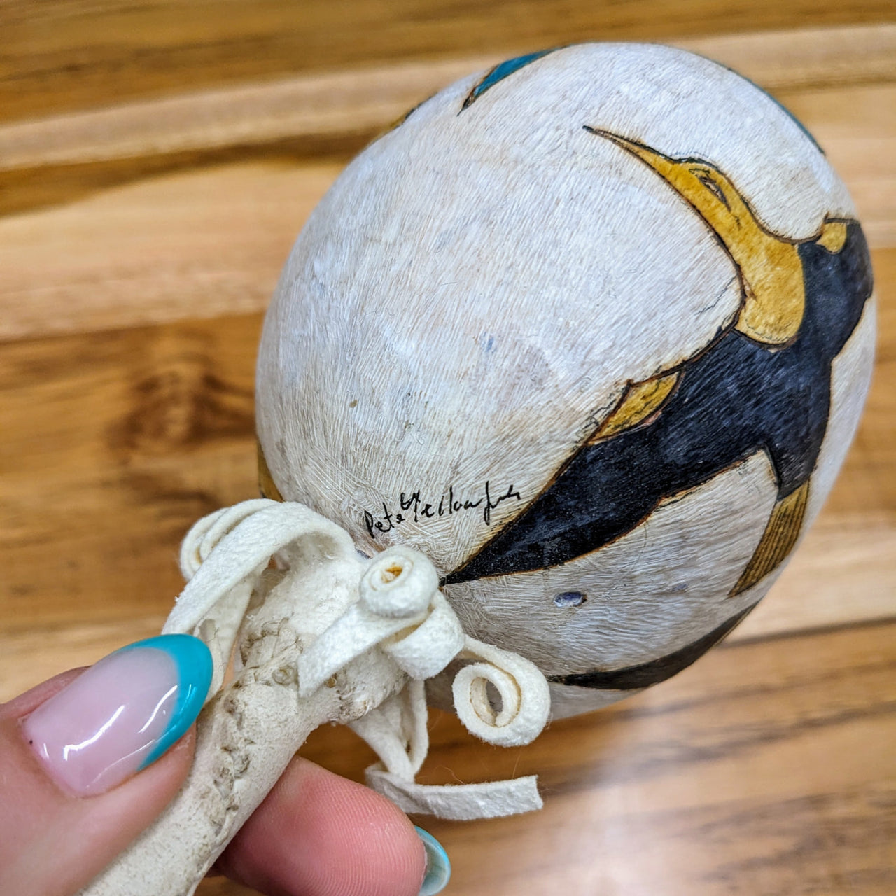 A hand holding a small white and black bird next to the Shoshone Gourd Rattle by Pete Yellowjohn