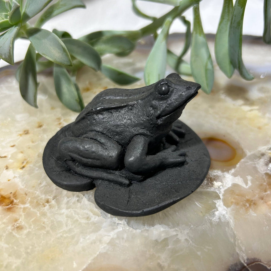 Black frog figurine on lily pad for Shungite Figurine Frog on Leaf #LV7389