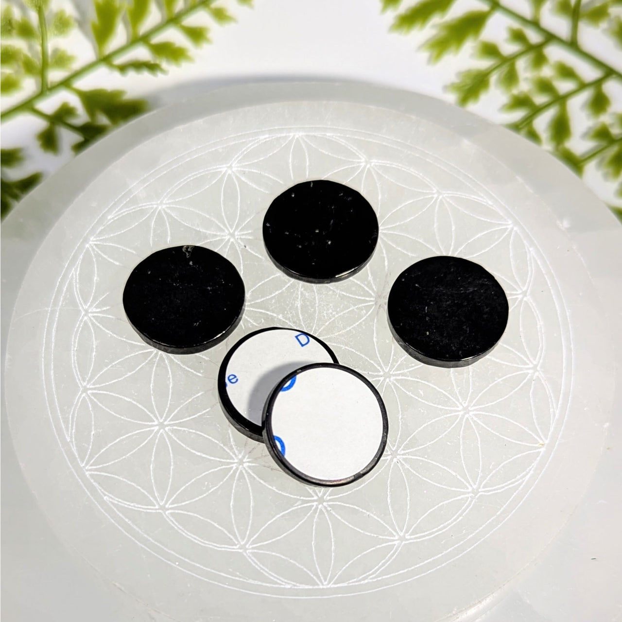 Shungite round 0.75 inch mini adhesive disc black magnets BC0929