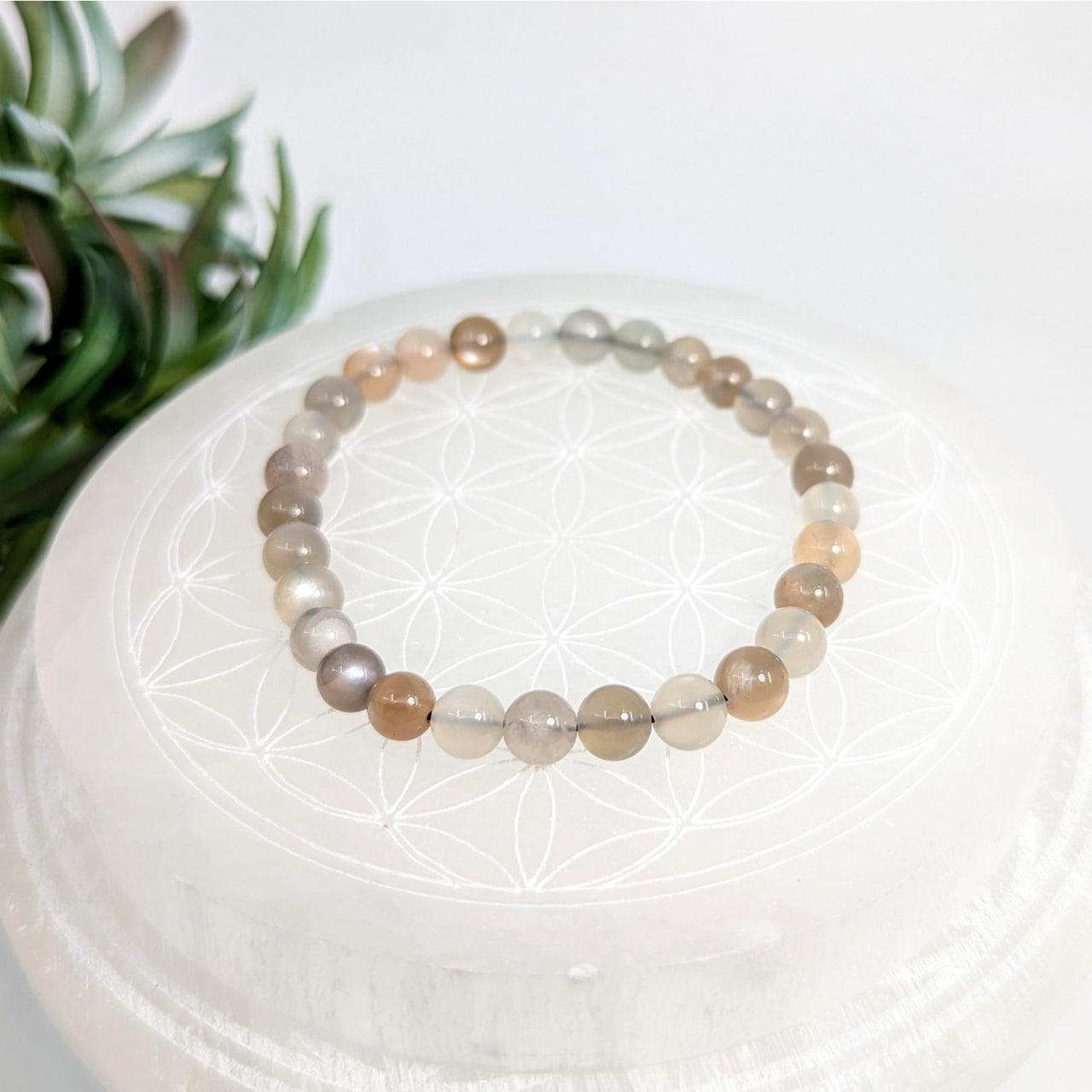 Beaded bracelet with neutral tones featured in Silver Moonstone 7 inch 6mm Bead Bracelet #LV7669
